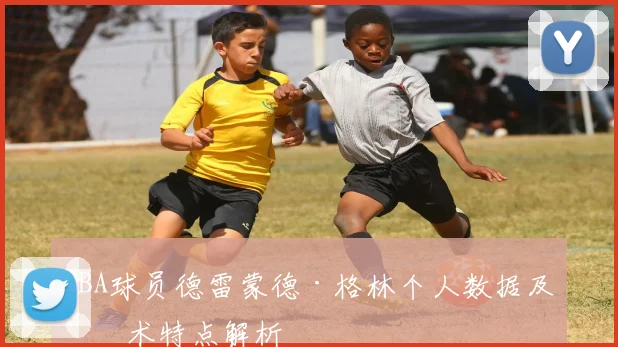 NBA球员德雷蒙德·格林个人数据及技术特点解析