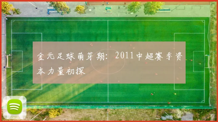 金元足球萌芽期：2011中超赛季资本力量初探