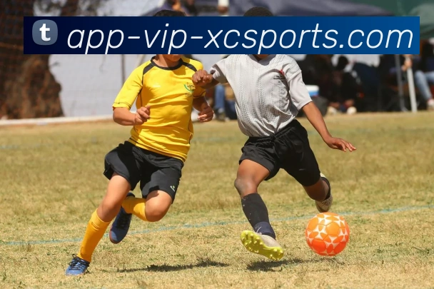 杏彩体育APP 高清赛事图